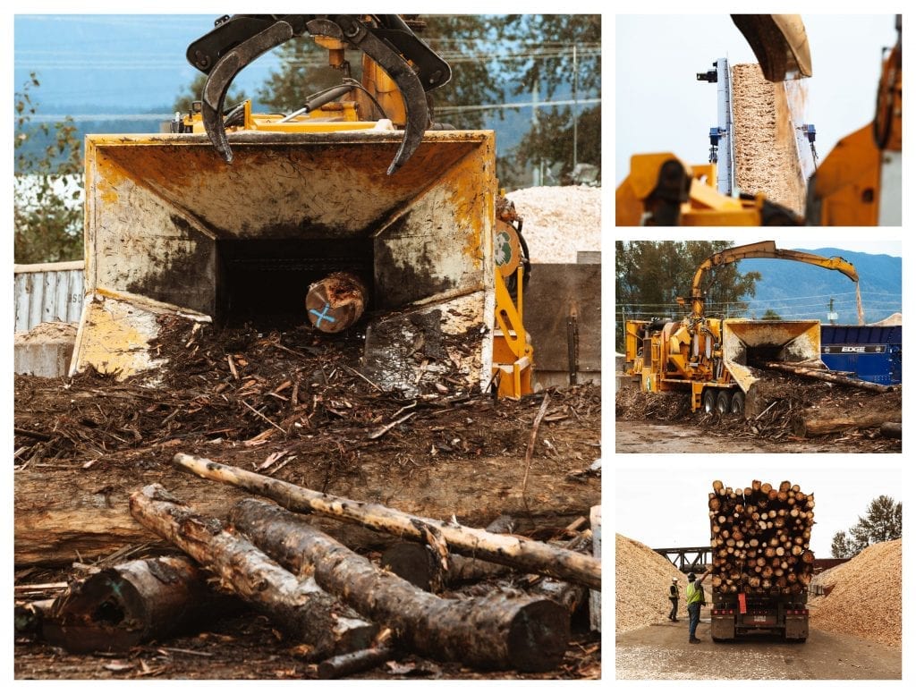 Valiant Log Sort Wood Recycling