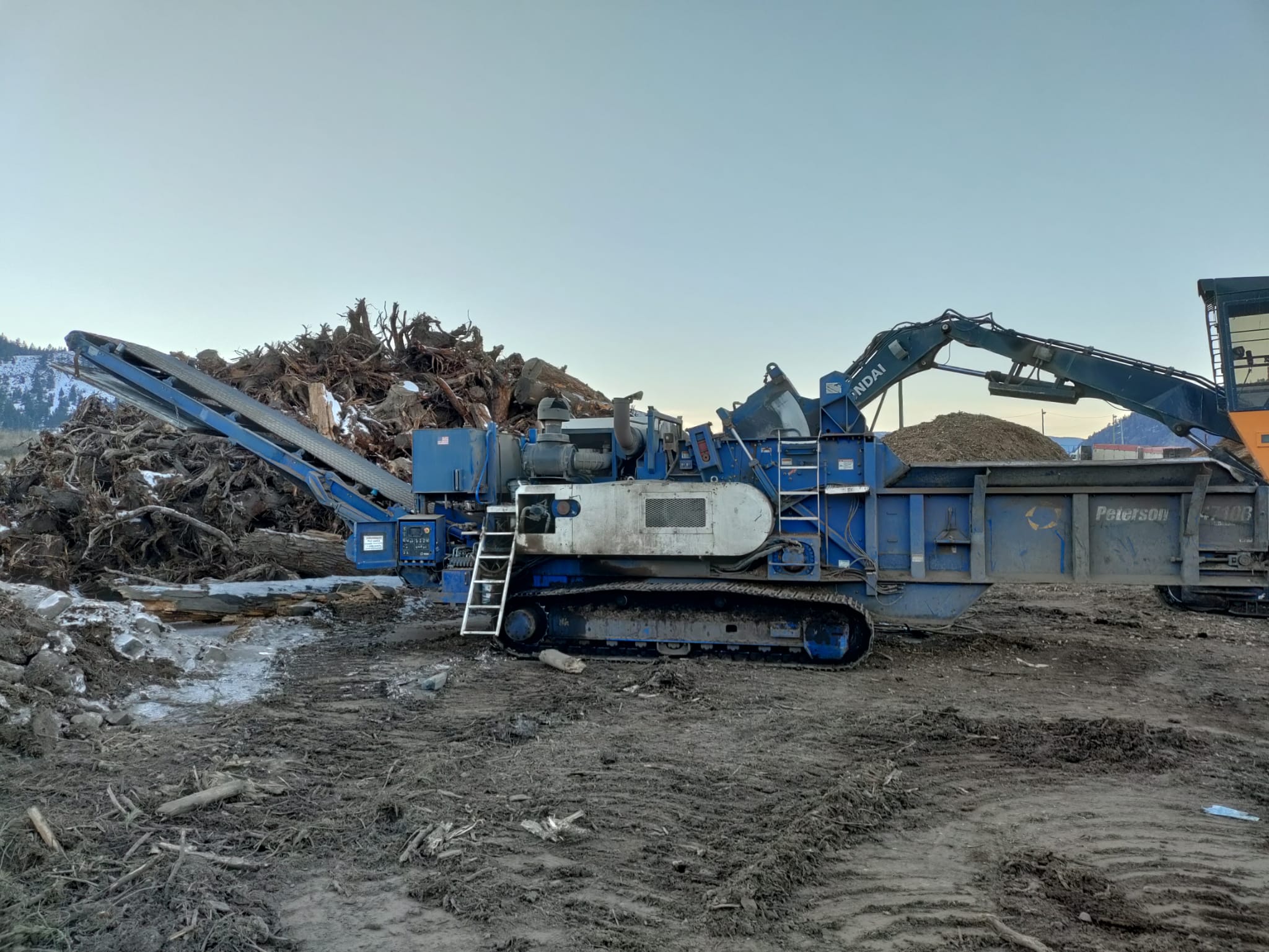 Peterson 4710B horizontal grinder for sale
